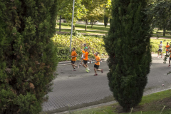 1-maraton-logrono_54