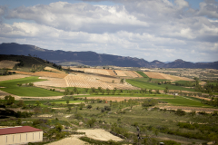 beer-briones_40