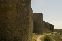 IMGP8825-copia