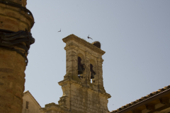 IMGP8828-copia