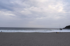 agme-2014_93_1