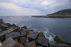 agme-2014_96_1