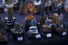 Agme-2016_68