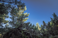 Andorra_05