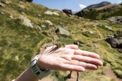 Andorra_32