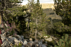 Andorra_76
