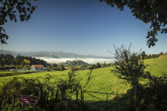 Oviedo16-095