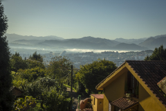 Oviedo16-099