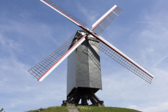 Belgica-2015_141