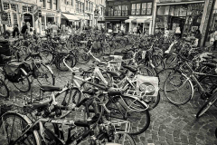 Belgica-2015_153