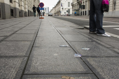 Belgica-2015_185