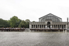 Belgica-2015_250