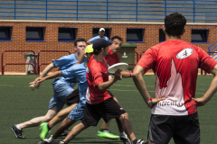 frisby-log14_01