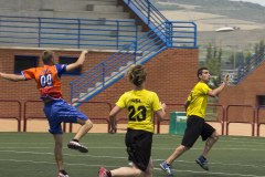 frisby-log14_06