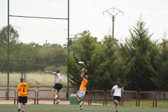 frisby-log14_07