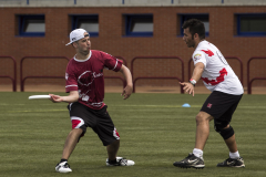 frisby-log14_17