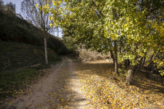 Entre-vinedos-beer_07