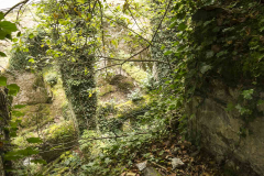 Eugi_24