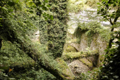 Eugi_25
