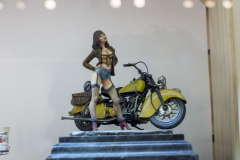 expo-vitoria-modelismo_77