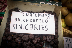 sin-titulo-6