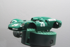 Piper_65
