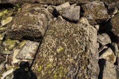 flysh-agosto-2015_20