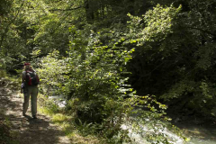 hoces-de-holtzarte_03