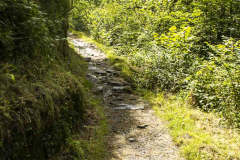 hoces-de-holtzarte_04