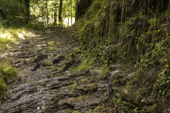 hoces-de-holtzarte_07