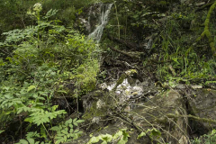 hoces-de-holtzarte_10