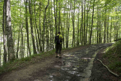 hoces-de-holtzarte_27