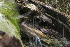 hoces-de-holtzarte_28