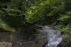 hoces-de-holtzarte_33