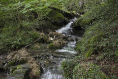 hoces-de-holtzarte_37