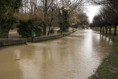 Logrono-inundado-04