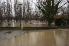 Logrono-inundado-06