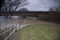 Logrono-inundado-132