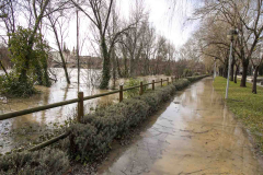 Logrono-inundado-26