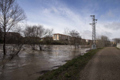 Logrono-inundado-46