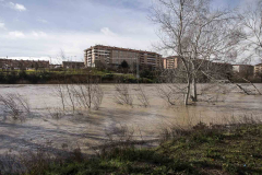 Logrono-inundado-47