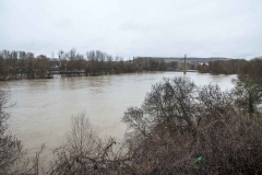 Logrono-inundado-55