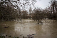 Logrono-inundado-63