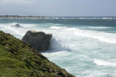 Coruna-15_214