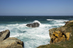 Coruna-15_218